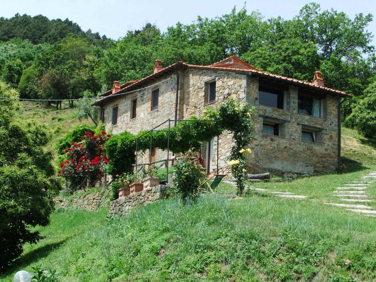 Fattoria Di Pietrabuona Apartment Pescia Luaran gambar