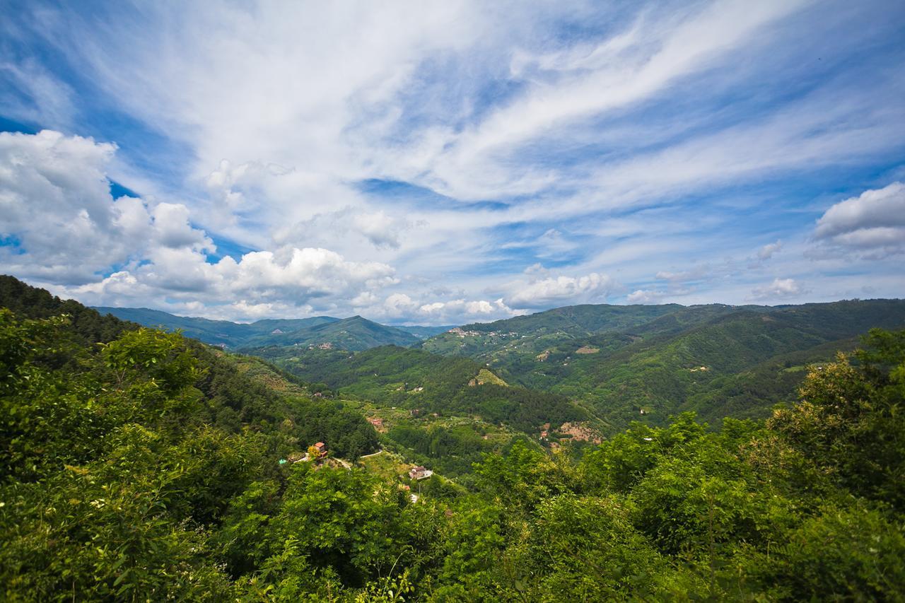 Fattoria Di Pietrabuona Apartment Pescia Luaran gambar