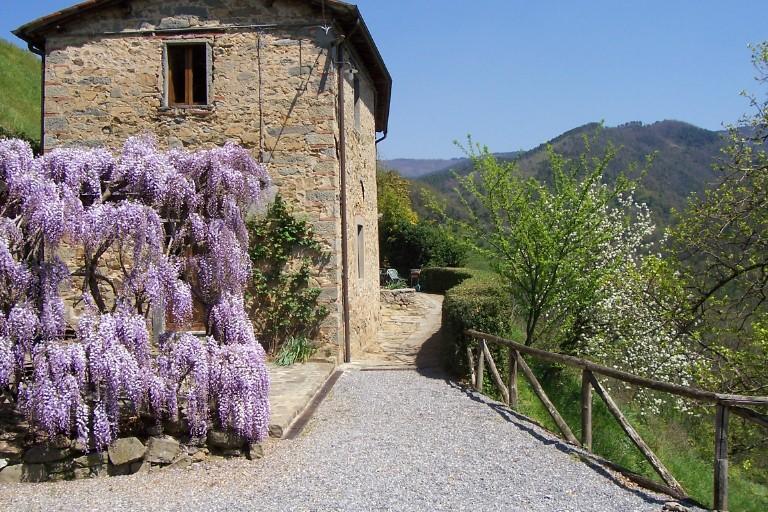 Fattoria Di Pietrabuona Apartment Pescia Luaran gambar