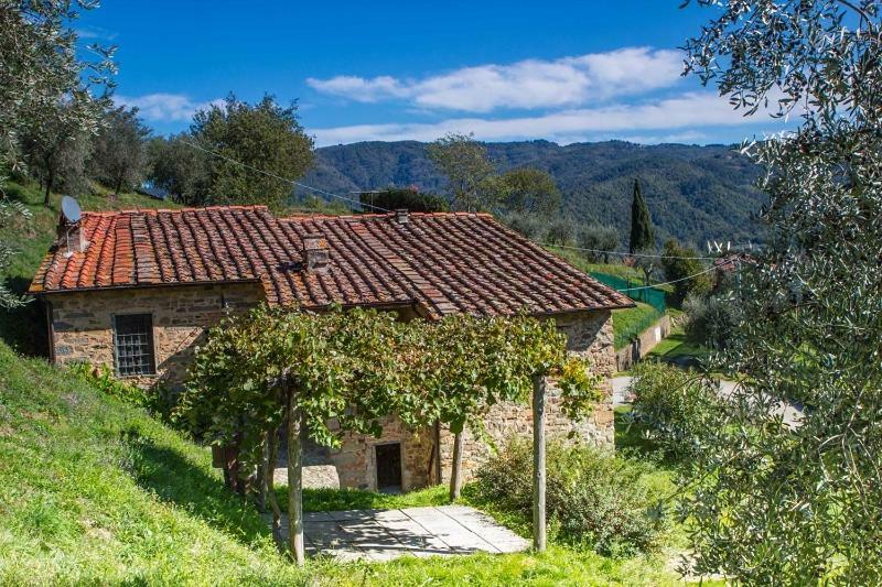 Fattoria Di Pietrabuona Apartment Pescia Luaran gambar